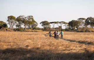 Ebike Safari