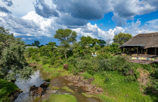 Wallow Lodge