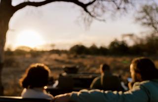 Simbavati Camp George game drive experience