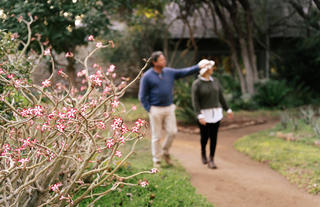 Simbavati Camp George Garden