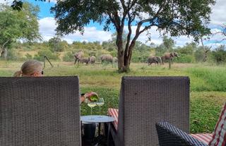 Simbavati Camp George