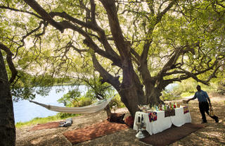 Magical picnics on the banks of the Zambezi