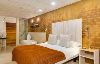 Luxury Suite No 6