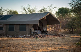 Safari Tent in morning