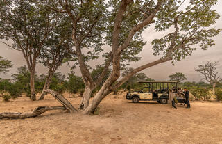 The Elephant Camp Game Drive