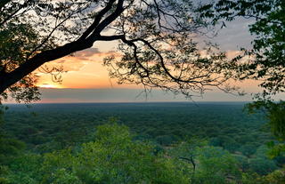 View from tents