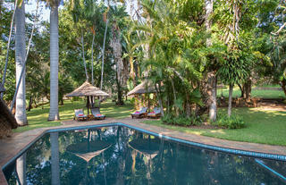 Pool & Lapa