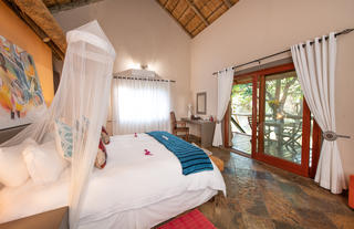 Luxury Rooms