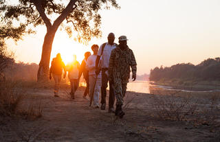 Walking Safari