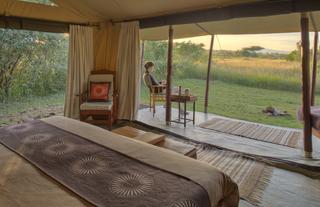 Asilia Africa | Encounter Mara - Guest room with view