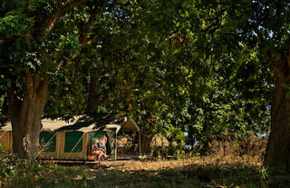 Mana River Camp - Tents in the Riverene Forest