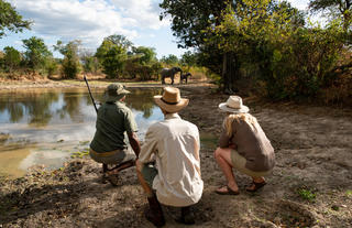 Mana River Camp - Walking2
