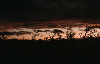 African landscapes 