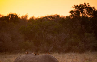 Zulu land sunset