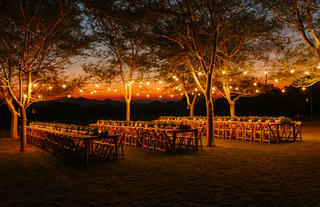 Under the fever trees for one of our weddings at Bayala 