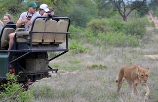 Great wildlife sightings on game drive