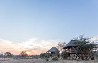 nThambo Tree Camp chalets