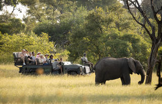 Finding Elephants on Game Drive