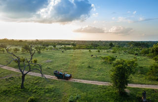 Aerial Views of Game Drives