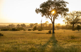 Sunset Views in the Sabie Game Reserve