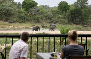 Watching elephants from the deck at Umkumbe
