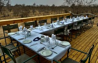 New Deck in the bush up a Marula Tree