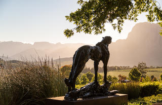 The Jewel of the Cape Winelands