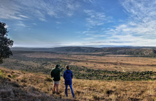 Amakhala Game Reserve