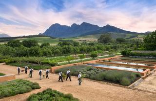 Babylonstoren chefs in the garden