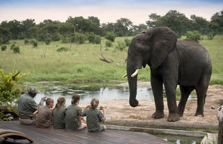 The Elephant Experience at Somalisa Acacia