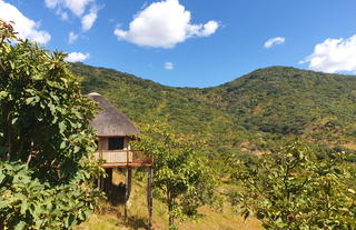 View from the rooms