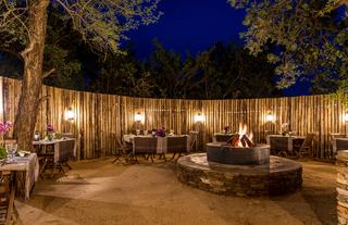 Safari Moon Bush Boma