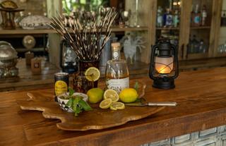 Safari Moon Leopard Bar