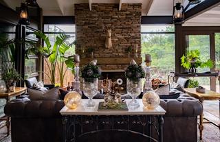 Safari Moon Fireplace
