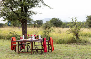 Serengeti Wilderness Camp 