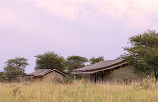 Serengeti Wilderness Camp 