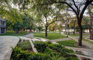 Garden pathways