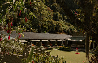 Main Garden View