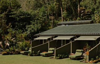 Main Garden View