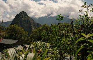 Hotel View