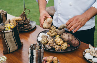 Potatoe Experience
