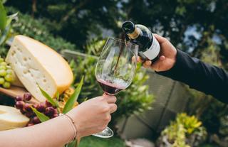 Cheese & Wine Experience