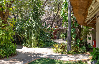 Shady teak trees and tropical landscaping where all rooms are linked by winding pathways.