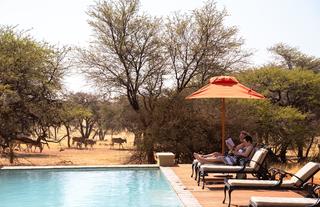 Zebra Kalahari Lodge 