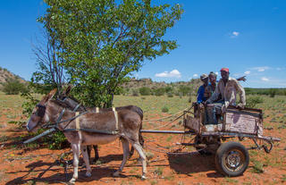 Locals-on-Donkey-Cart.