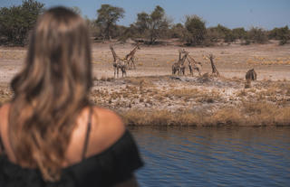 Chobe Princess Game Viewing from Vessel