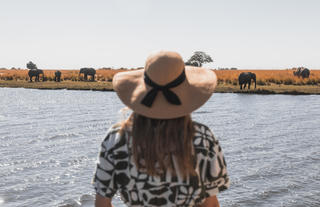 Chobe Princess Game Viewing from Vessel