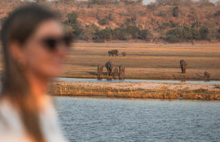 Chobe Princess Game Viewing from Vessel