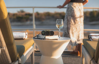 Chobe Princess Guest looking at the view