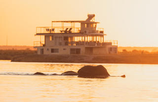 Chobe Princess with Elephant crossing